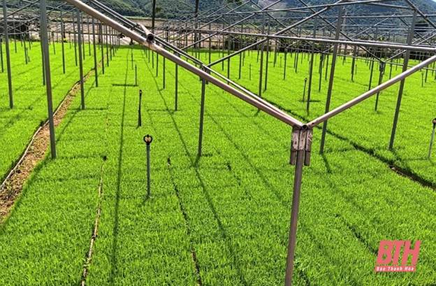 Ngày ấy bác Trọng về thăm Ngọc Phụng