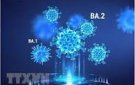 Biến thể BA.4, BA.5 xâm nhập, ca COVID-19 tăng, chuyên gia khuyến cáo gì về đeo khẩu trang?