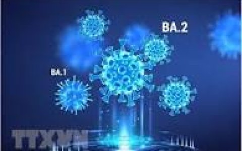 Biến thể BA.4, BA.5 xâm nhập, ca COVID-19 tăng, chuyên gia khuyến cáo gì về đeo khẩu trang?