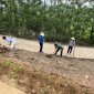 BÀI TUYÊN TRUYỀN Toàn dân tham gia bảo vệ môi trường